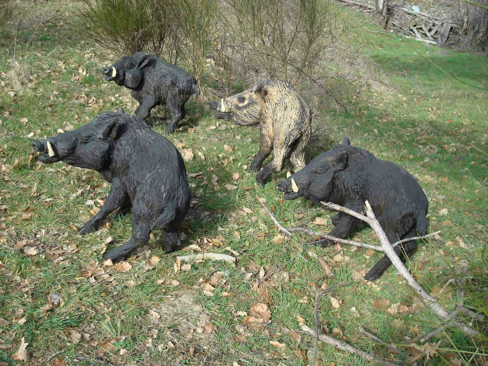 sanglier